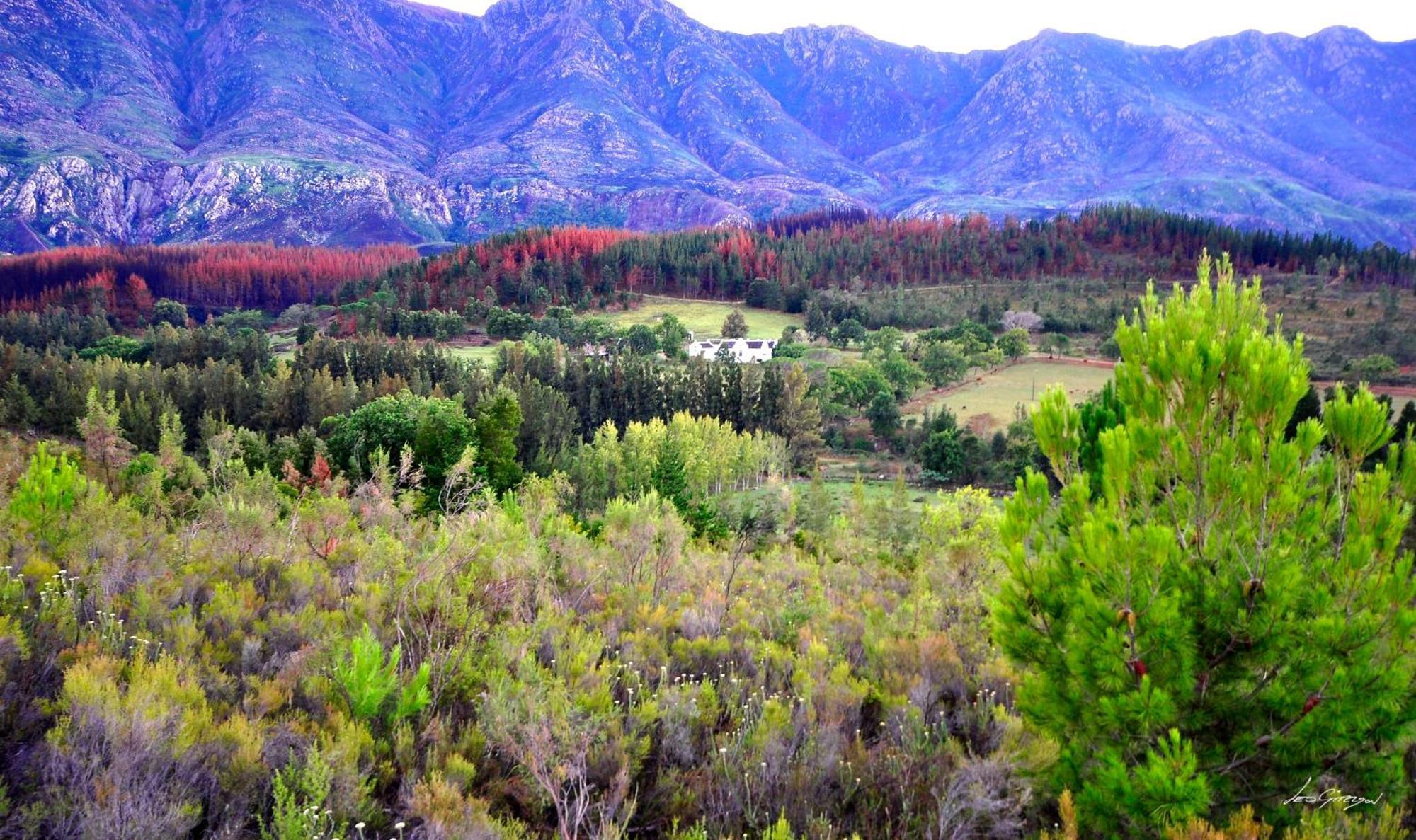 Villa A Hilltop Country Retreat à Swellendam Extérieur photo